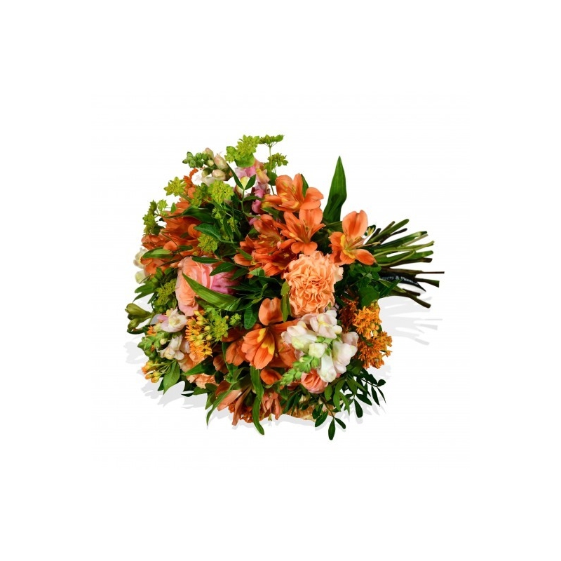 Snapdragon - same day or named day delivery - Rushes Florist