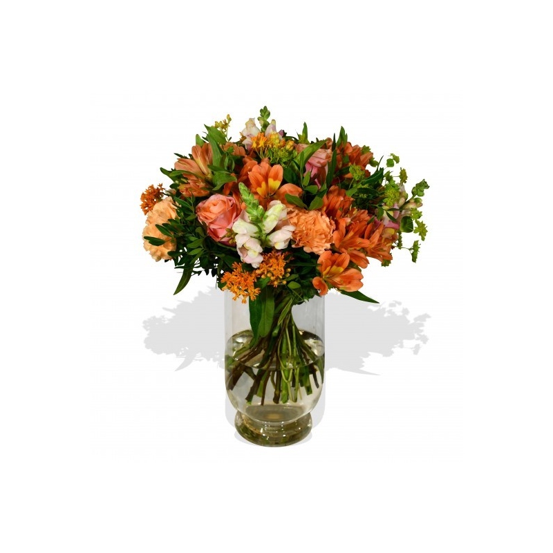 Snapdragon - same day or named day delivery - Rushes Florist