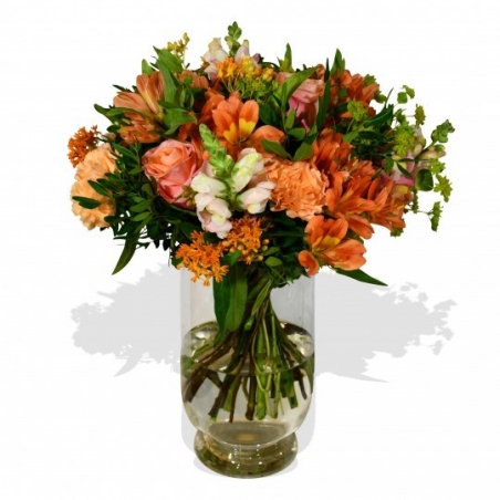 Snapdragon - same day or named day delivery - Rushes Florist