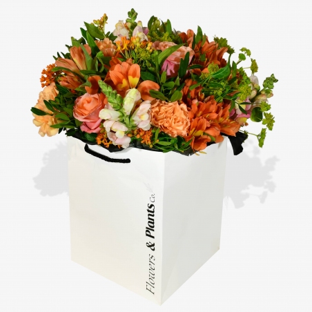 Snapdragon - same day or named day delivery - Rushes Florist