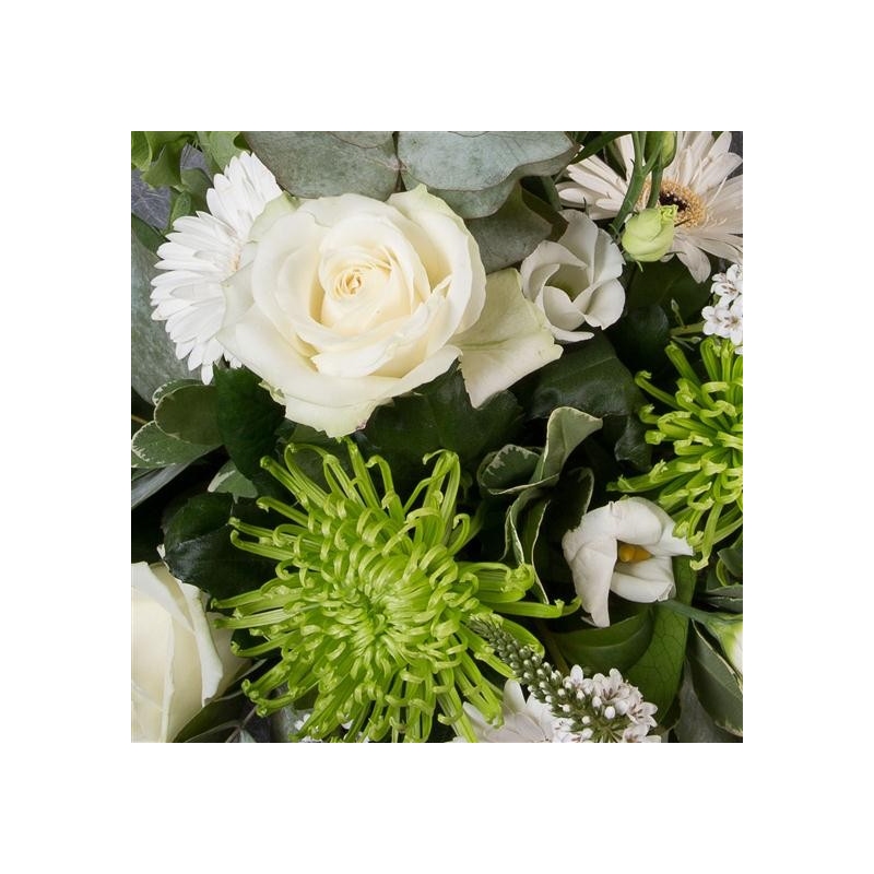 Jade - same day or named day delivery - Rushes Florist