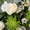 Jade - same day or named day delivery - Rushes Florist
