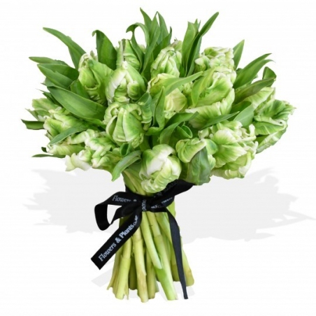 Parrot Tulips - same day or named day delivery - Rushes Florist Parrot Tulips - same day or named day delivery - Rushes Florist