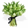 Parrot Tulips - same day or named day delivery - Rushes Florist Parrot Tulips - same day or named day delivery - Rushes Florist