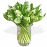 Parrot Tulips - same day or named day delivery - Rushes Florist Parrot Tulips - same day or named day delivery - Rushes Florist