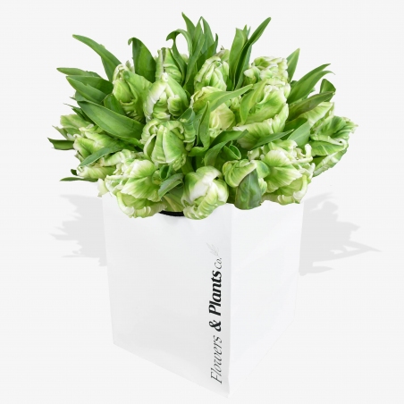 Parrot Tulips - same day or named day delivery - Rushes Florist