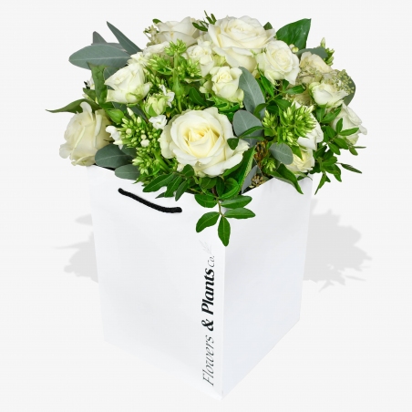 Lady Jane - same day or named day delivery - Rushes Florist
