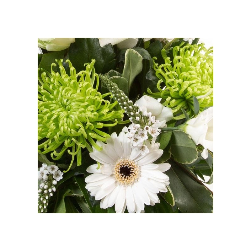 Jade - same day or named day delivery - Rushes Florist