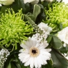 Jade - same day or named day delivery - Rushes Florist