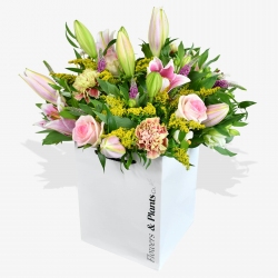 Sorbet - same day or named day delivery - Rushes Florist