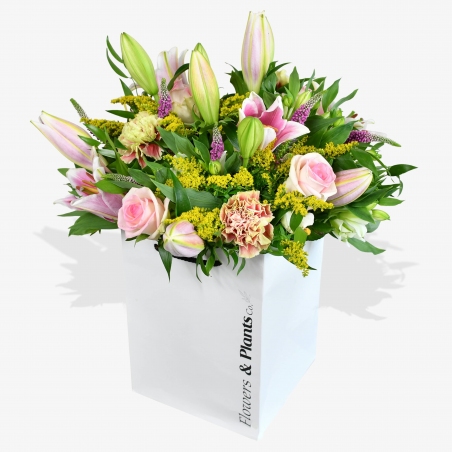 Sorbet - same day or named day delivery - Rushes Florist