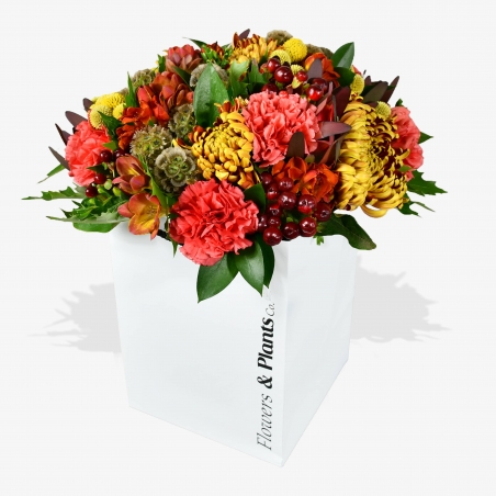 Autumn Eclipse - same day or named day delivery - Rushes Florist