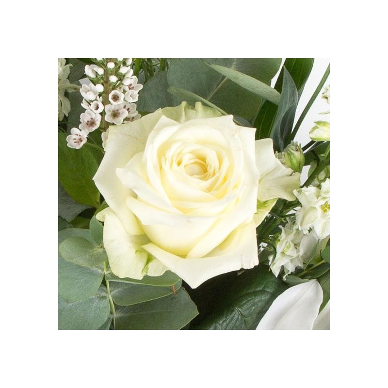 Pure and Simple - same day or named day delivery - Rushes Florist