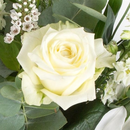 Pure and Simple - same day or named day delivery - Rushes Florist