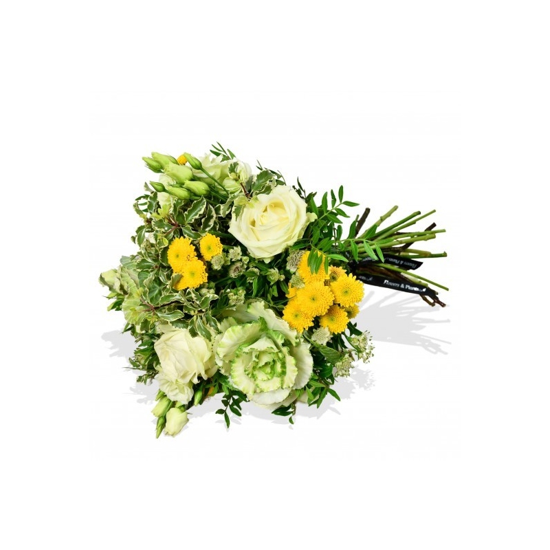 Cabbage and Rose - same day or named day delivery - Rushes Florist