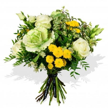 Cabbage and Rose - same day or named day delivery - Rushes Florist