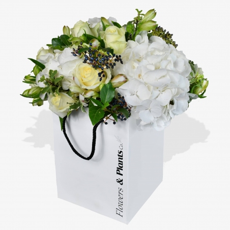White Pearls - same day or named day delivery - Rushes Florist