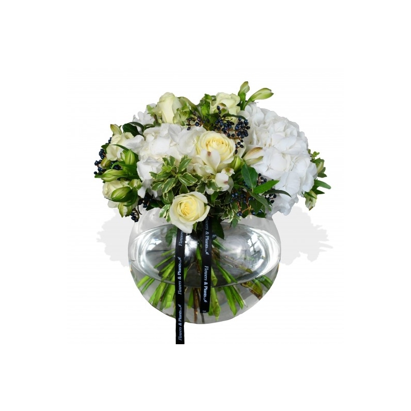 White Pearls - same day or named day delivery - Rushes Florist
