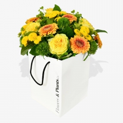 Let It Shine - same day or named day delivery - Rushes Florist