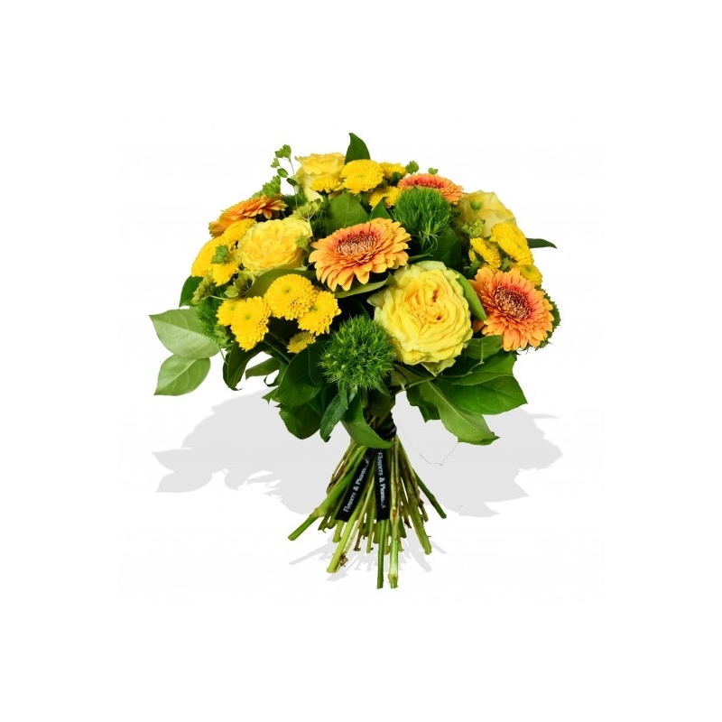 Let It Shine - same day or named day delivery - Rushes Florist