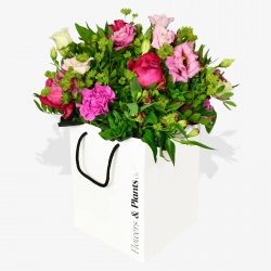 The Soft Parade - same day or named day delivery - Rushes Florist