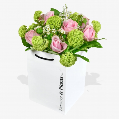 Home Sweet Home - same day or named day delivery - Rushes Florist