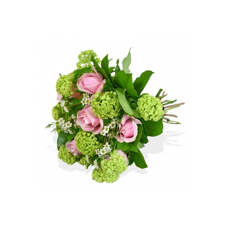 Home Sweet Home - same day or named day delivery - Rushes Florist