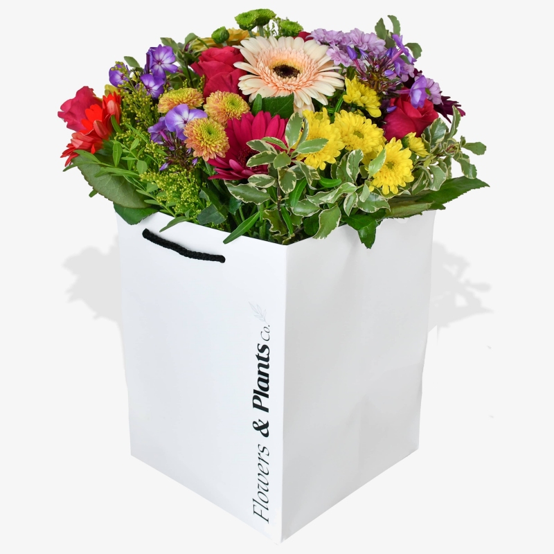 Lollipop - same day or named day delivery - Rushes Florist