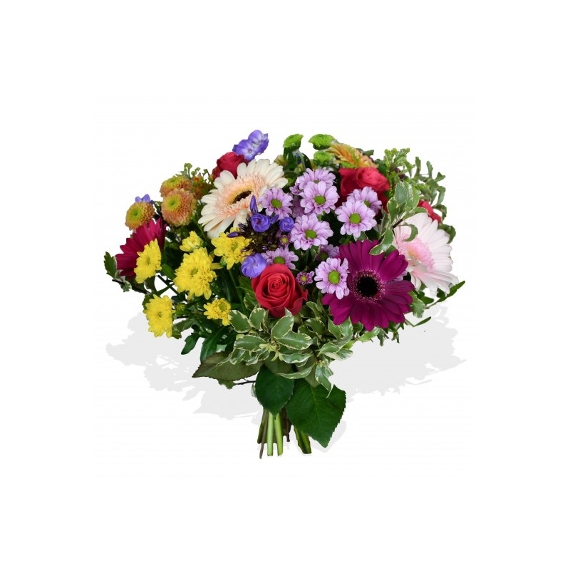 Lollipop - same day or named day delivery - Rushes Florist