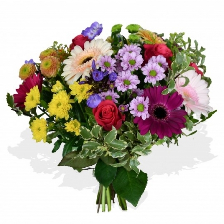 Lollipop - same day or named day delivery - Rushes Florist