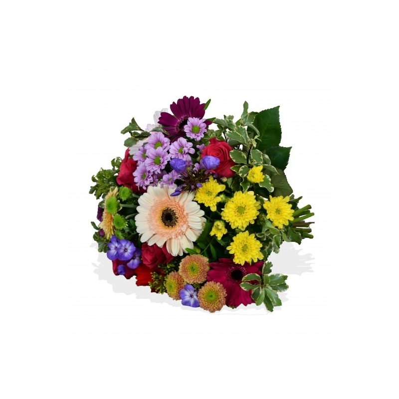 Lollipop - same day or named day delivery - Rushes Florist