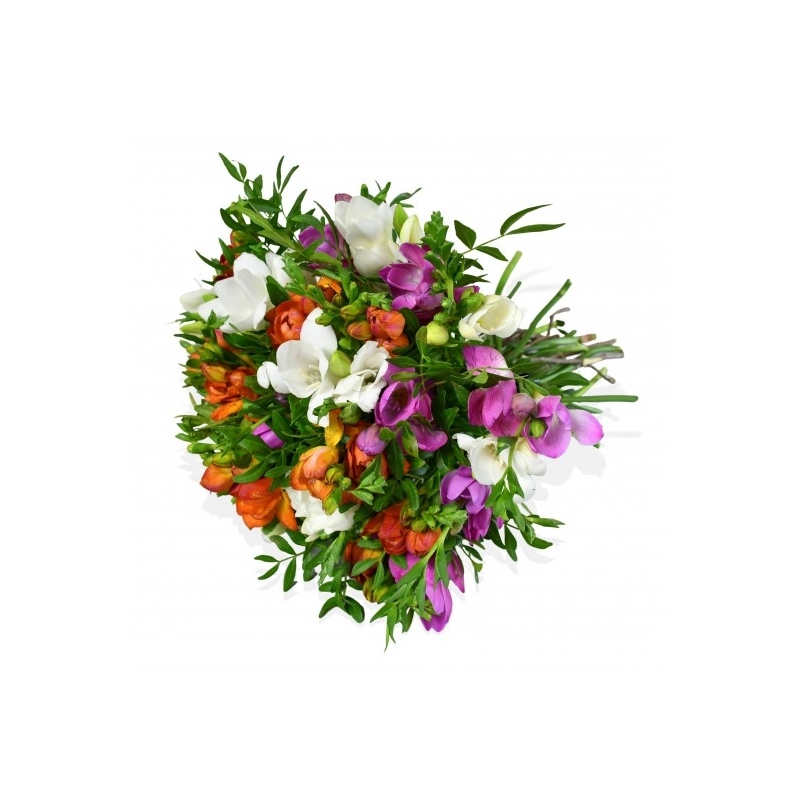 Freesia Fresca - same day or named day delivery - Rushes Florist