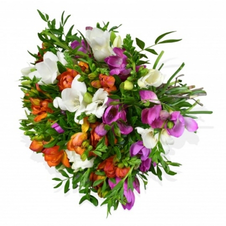 Freesia Fresca - same day or named day delivery - Rushes Florist
