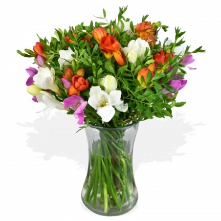 Freesia Fresca - same day or named day delivery - Rushes Florist