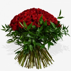 Red Rose Revelation - same day or named day delivery - Rushes Florist