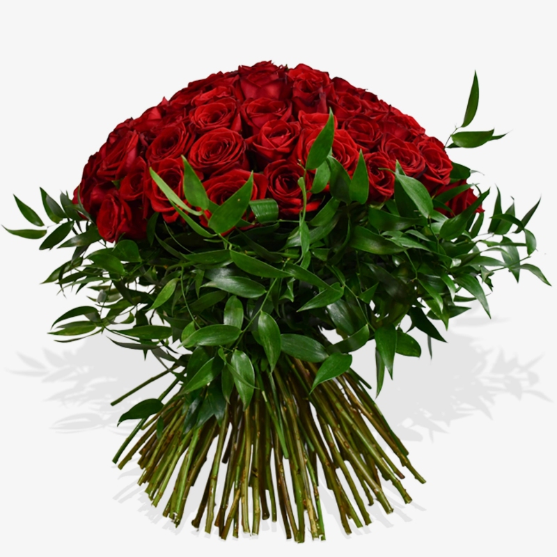 Red Rose Revelation - same day or named day delivery - Rushes Florist