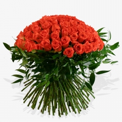 Paradiso - same day or named day delivery - Rushes Florist