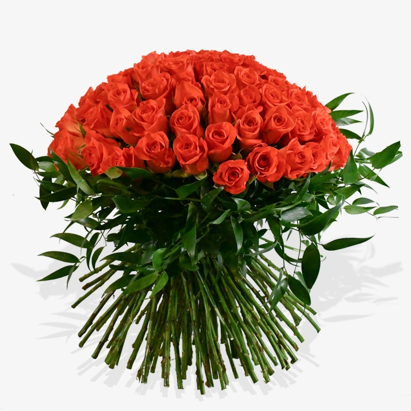 Paradiso - same day or named day delivery - Rushes Florist