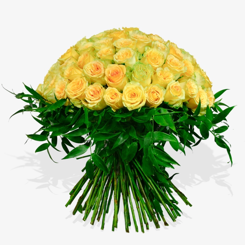 One Thousand and One Nights - same day or named day delivery - Rushes Florist