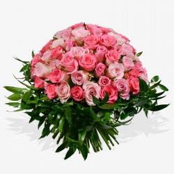 Rose and Ruscus - same day or named day delivery - Rushes Florist