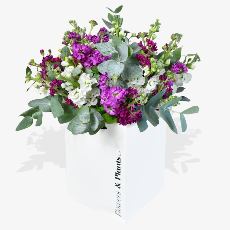 Dancing Days - same day or named day delivery - Rushes Florist