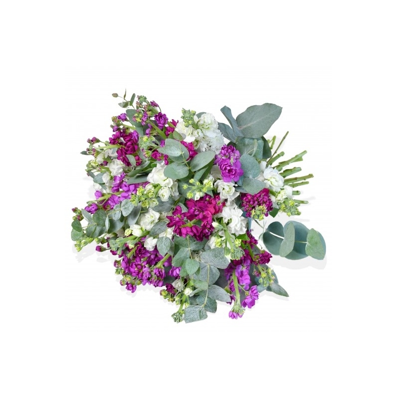 Dancing Days - same day or named day delivery - Rushes Florist