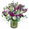 Dancing Days - same day or named day delivery - Rushes Florist