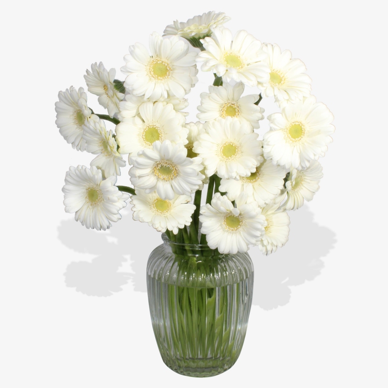 Lonely as a Cloud - same day or named day delivery - Rushes Florist