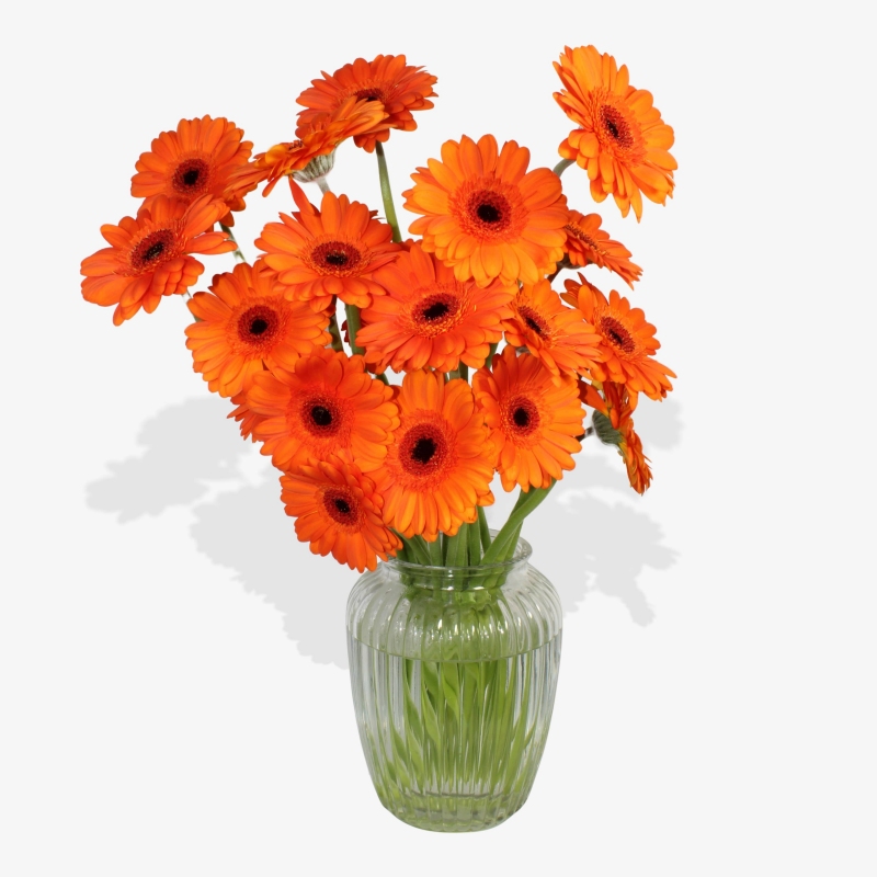 On the Bright Side - same day or named day delivery - Rushes Florist