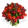 Tulips and Skimmia - same day or named day delivery - Rushes Florist Tulips and Skimmia - same day or named day delivery - Rushes Florist
