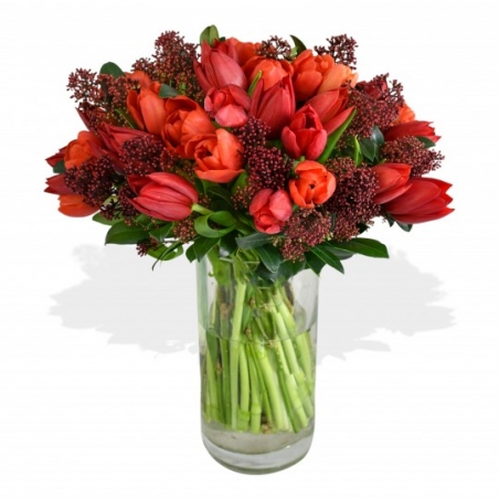 Tulips and Skimmia - same day or named day delivery - Rushes Florist Tulips and Skimmia - same day or named day delivery - Rushes Florist
