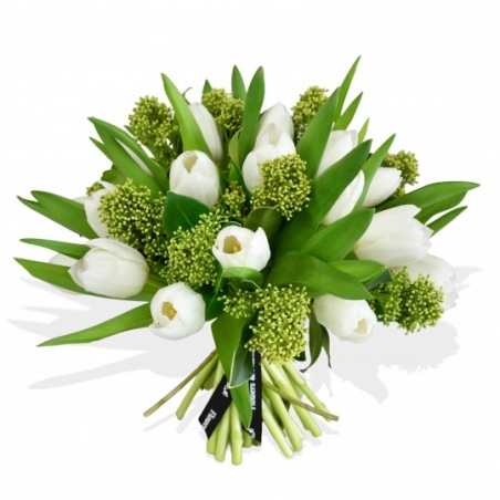 Winter Tulips - same day or named day delivery - Rushes Florist