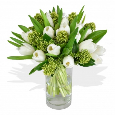 Winter Tulips - same day or named day delivery - Rushes Florist