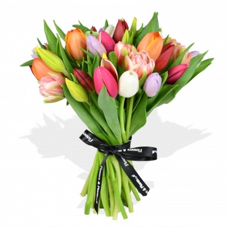 Tulip Temptation - same day or named day delivery - Rushes Florist
